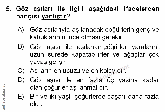 Soru 5