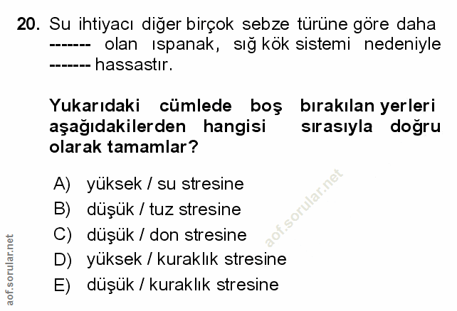 Soru 20
