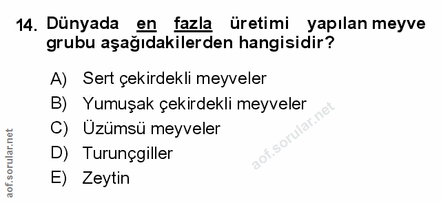 Soru 14