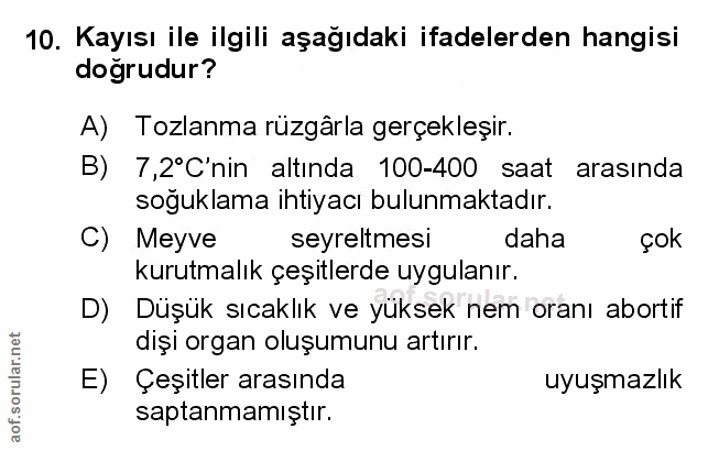 Soru 10