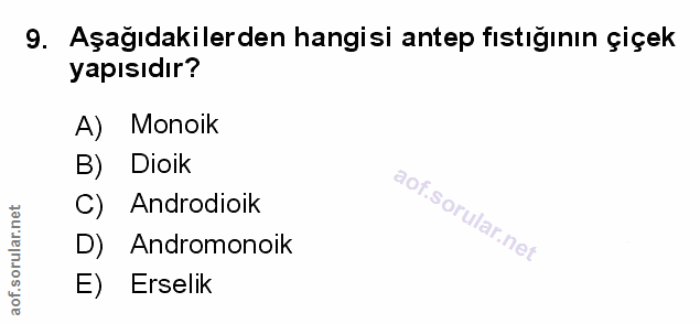 Soru 9