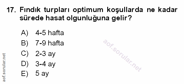 Soru 17