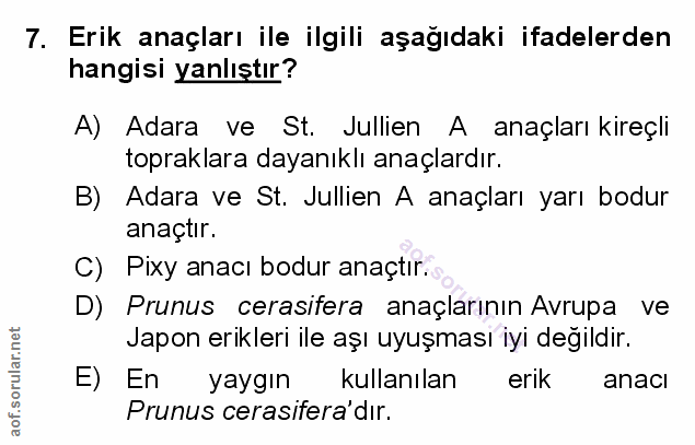 Soru 7