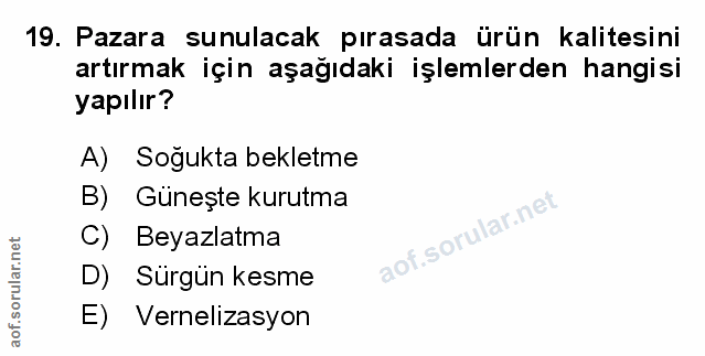 Soru 19