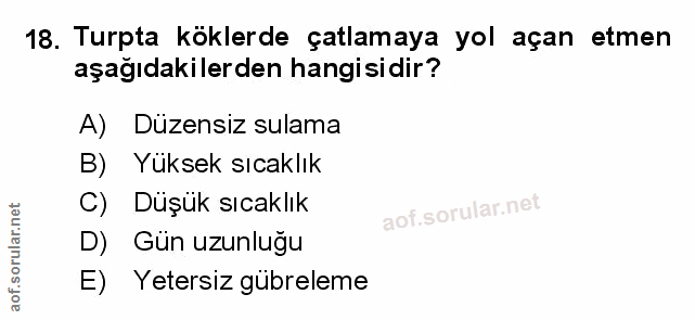 Soru 18