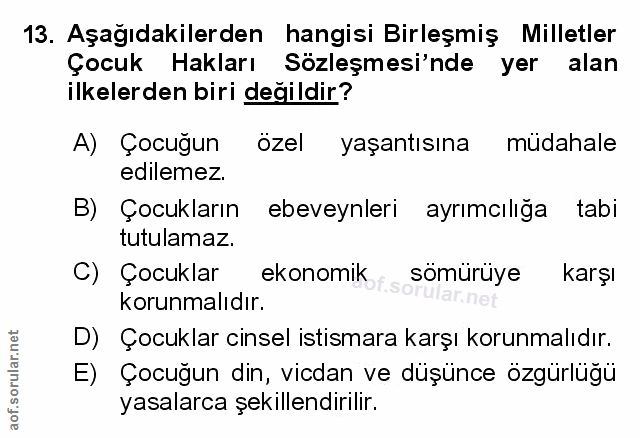 Soru 13