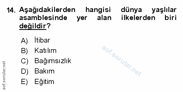 Soru 14