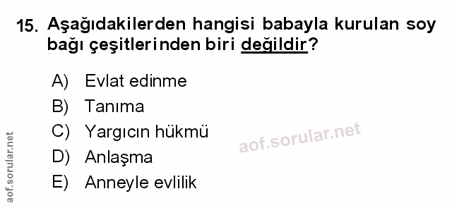 Soru 15