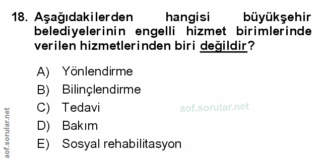 Soru 18