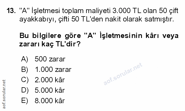 Soru 13