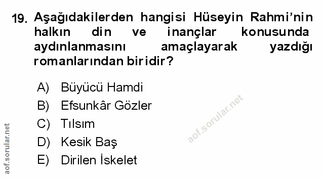 Soru 19