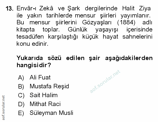 Soru 13