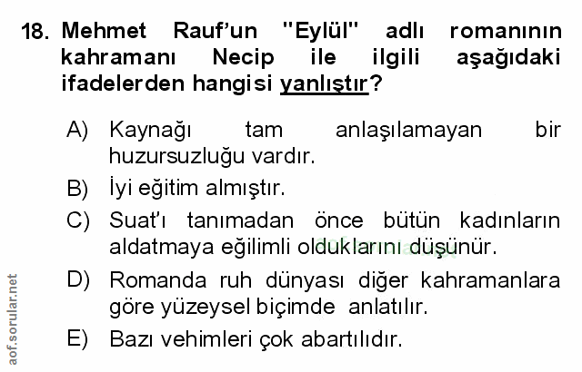 Soru 18