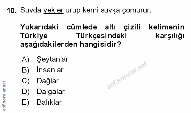 Soru 10