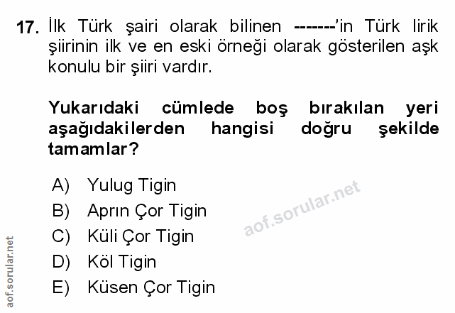 Soru 17