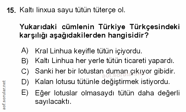 Soru 15