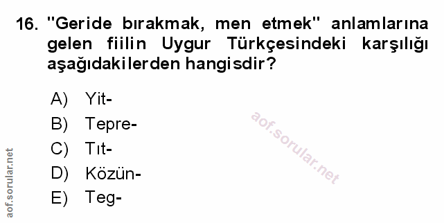 Soru 16