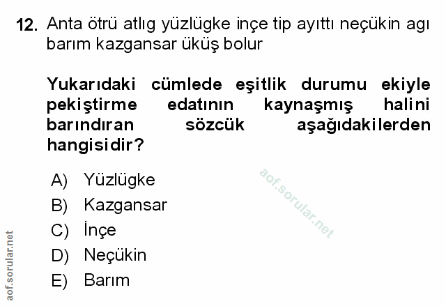 Soru 12