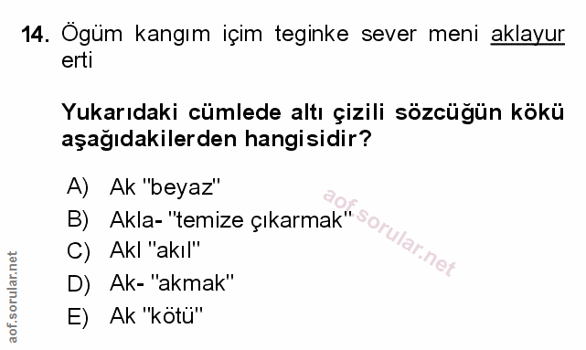 Soru 14