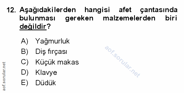 Soru 12