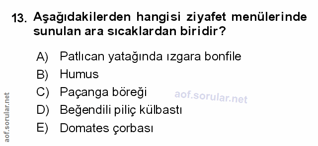 Soru 13