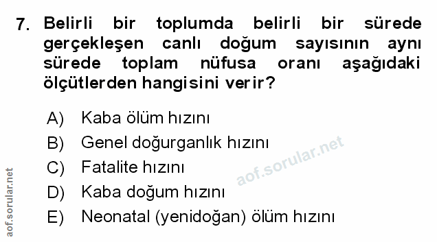 Soru 7