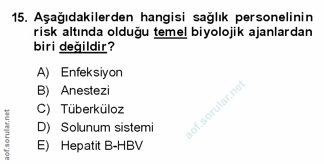 Soru 15