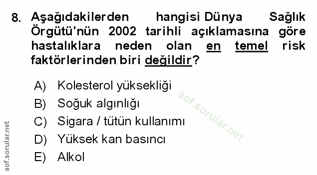 Soru 8