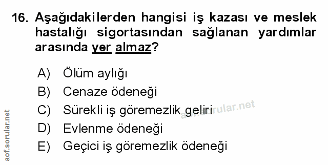 Soru 16