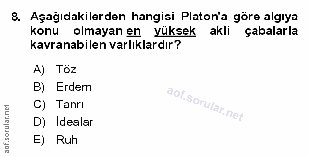 Soru 8
