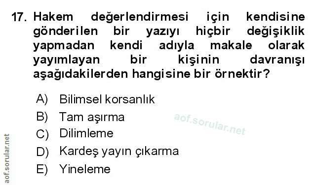 Soru 17