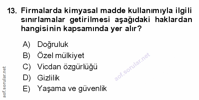 Soru 13