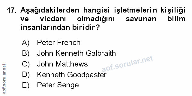Soru 17