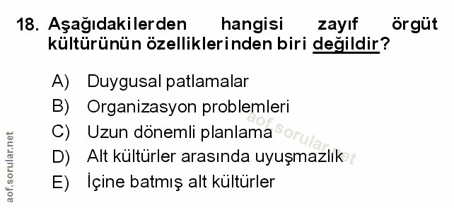 Soru 18