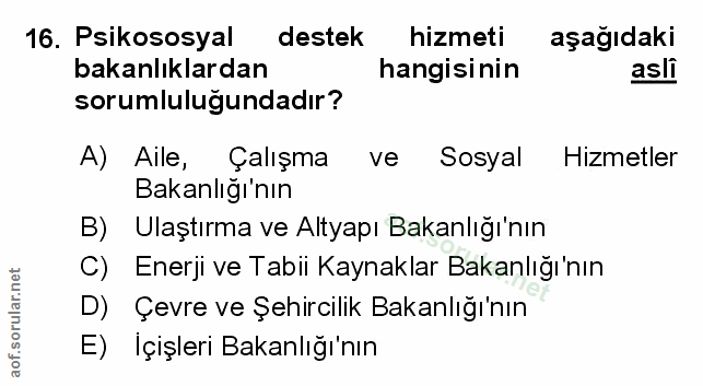 Soru 16