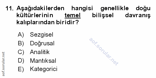 Soru 11