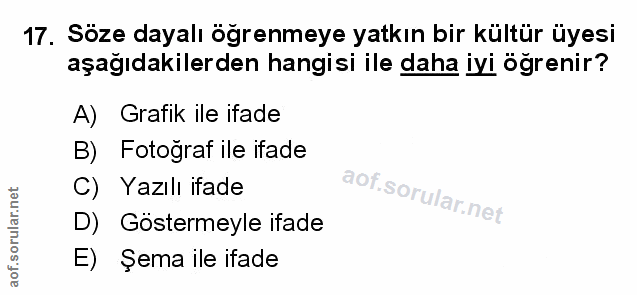 Soru 17