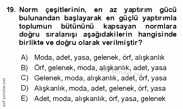 Soru 19