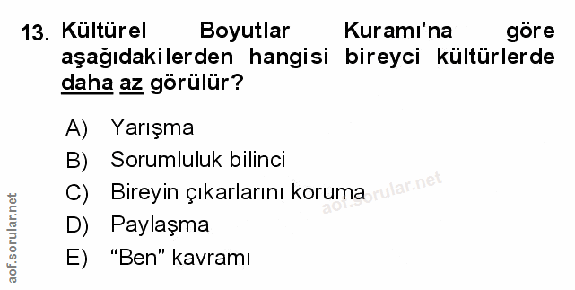Soru 13