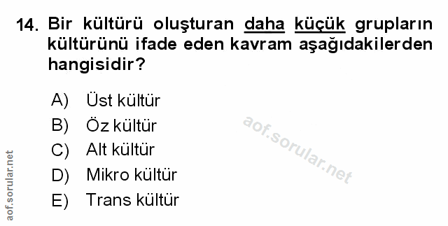 Soru 14