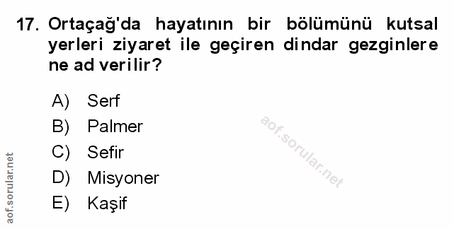 Soru 17