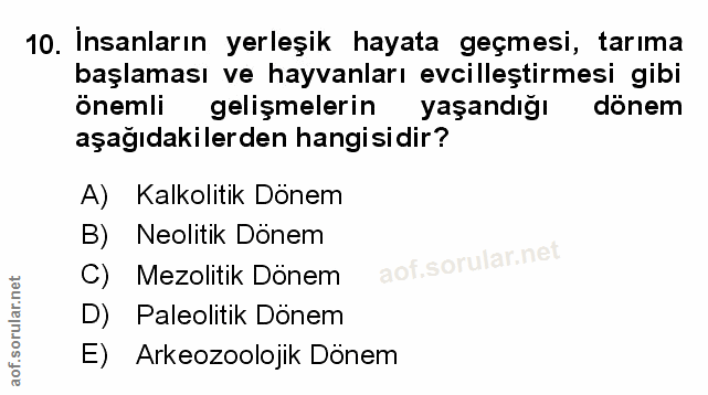 Soru 10