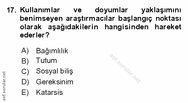 Soru 17