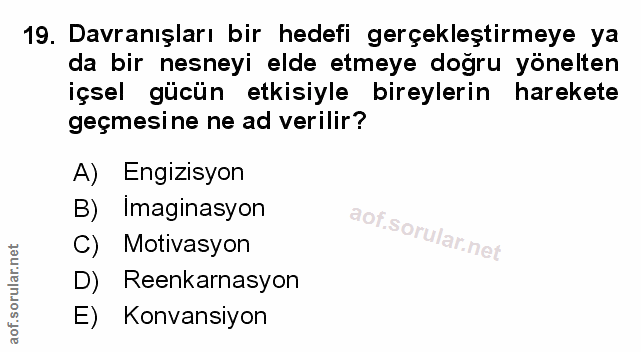 Soru 19