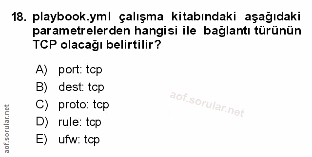 Soru 18