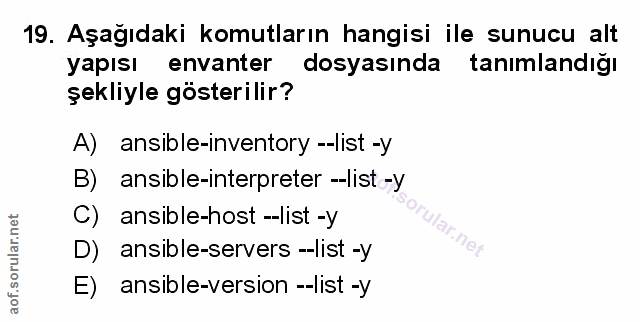 Soru 19