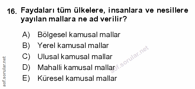 Soru 16