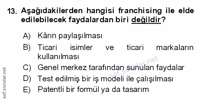 Soru 13