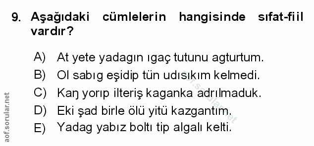 Soru 9
