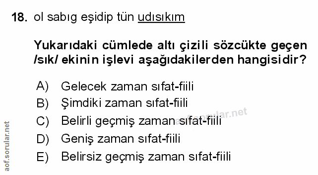 Soru 18